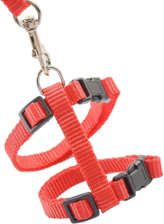 Pups&Pets Cat Harness Leash Set - Adjustable Nylon Harness Strap Collar with Leash Set for Small Pet Walking - Plain (Orange) - Image 5